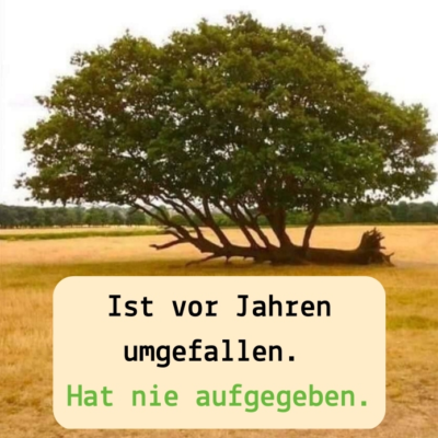 Das Geheimnis hinter großen Erfolgen, Oliver Kahn + 1 Umsetzungstipp für dich - ein Artikel von Dr. Ing. Thomas Löbel von Ingenieurshelden