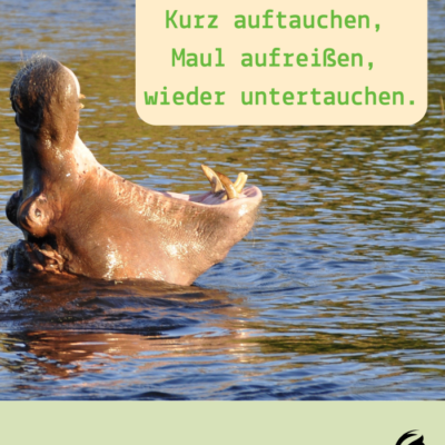 Führungsstil: Hippo - ein Artikel von Dr. Ing. Thomas Löbel von Ingenieurshelden