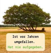 Beitragsbild zu Das Geheimnis hinter großen Erfolgen, Oliver Kahn + 1 Umsetzungstipp für dich