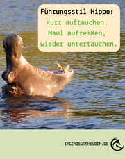 Beitragsbild zu Führungsstil: Hippo
